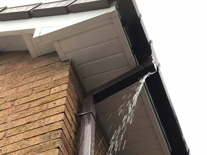 gutter cleaning