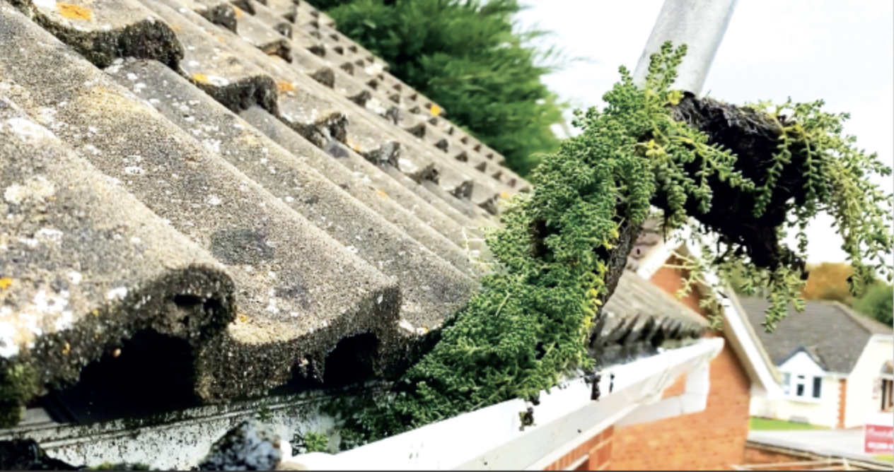 commercial window cleaning